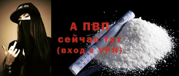 PSILOCYBIN Волосово
