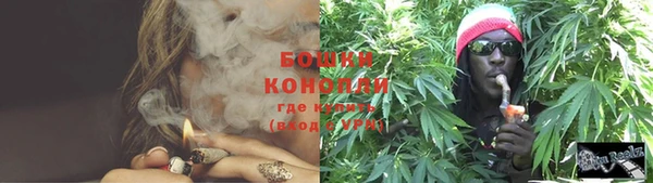 PSILOCYBIN Волосово