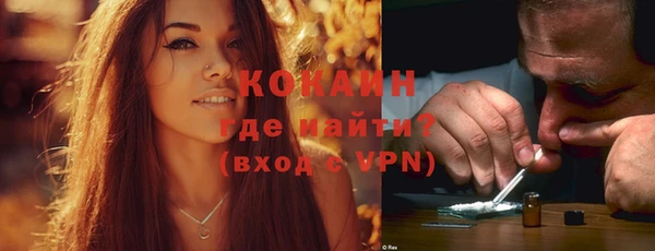 мет Бородино